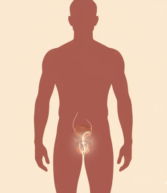 Restoration of Erectile Function with an Inflatable Implant