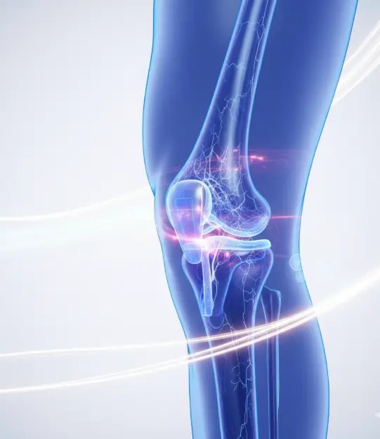 Knee joint replacement with 14 days of rehabilitation