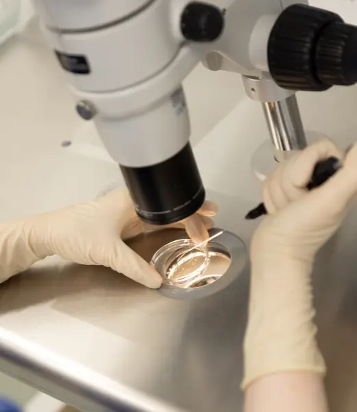 Northway Fertility Center | Riga