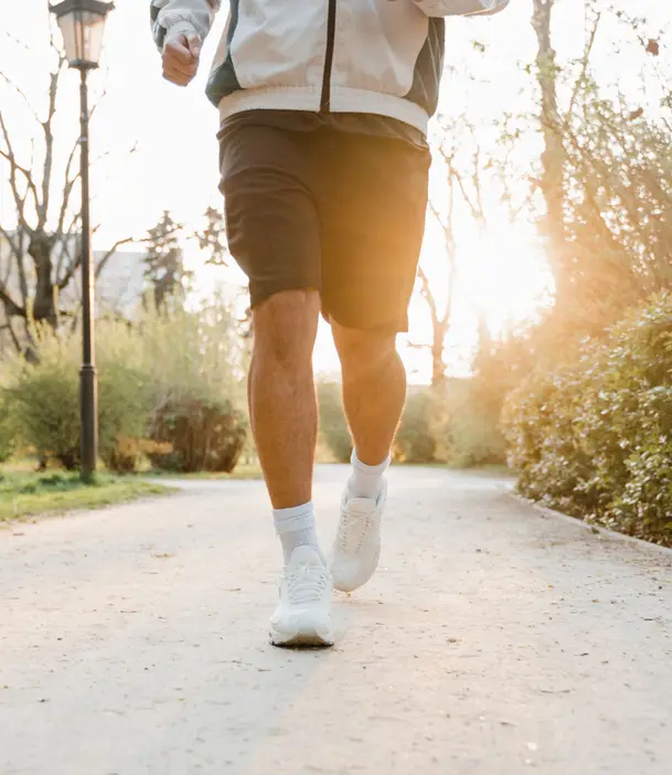 Knee cruciate ligament reconstruction