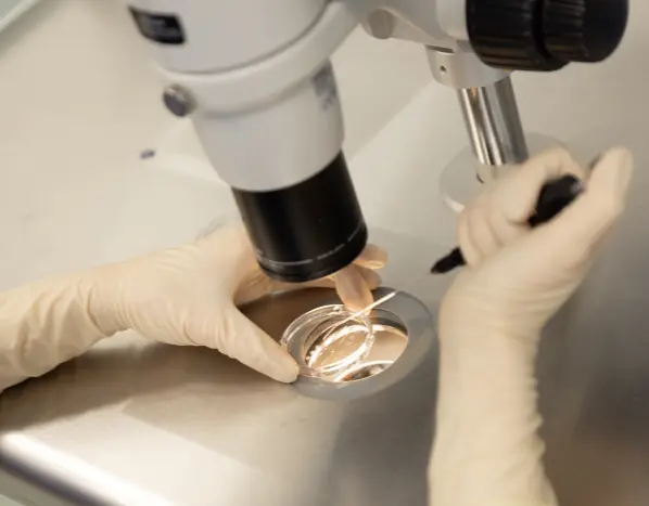 Northway Fertility Center | Riga