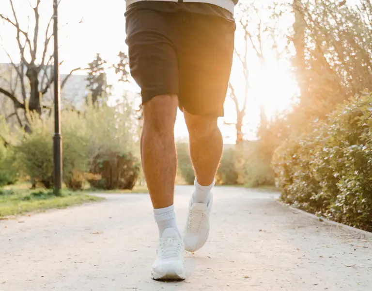 Knee cruciate ligament reconstruction